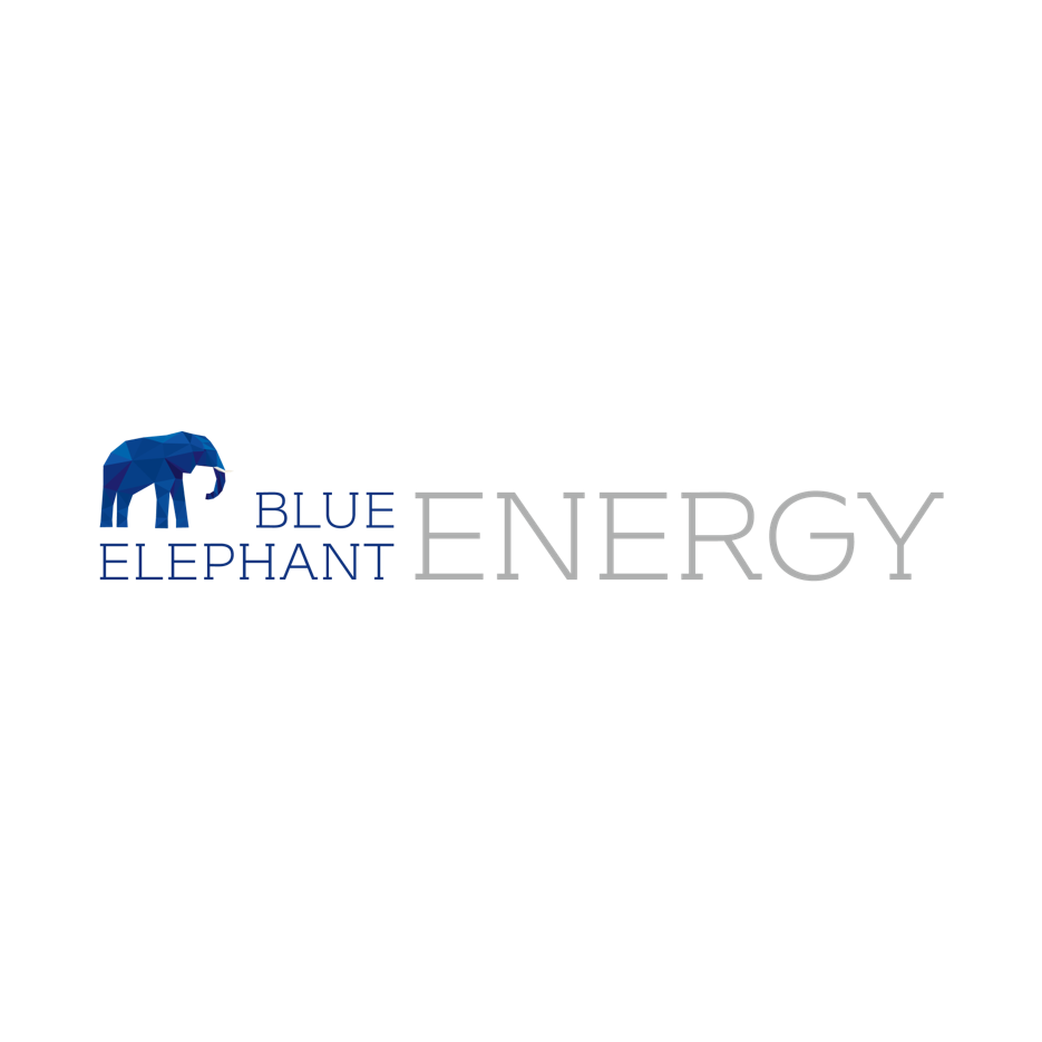 Logo Cliente Blue elephant
