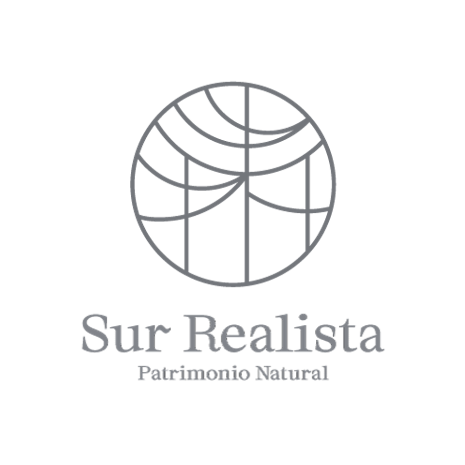 Logo Cliente Surealista